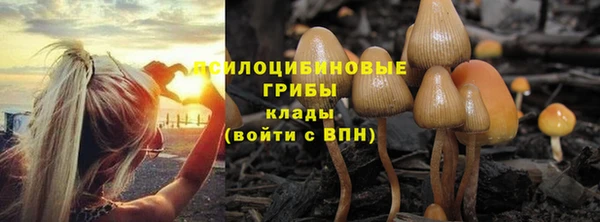 меф Инсар