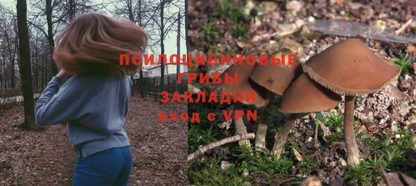 меф Инсар
