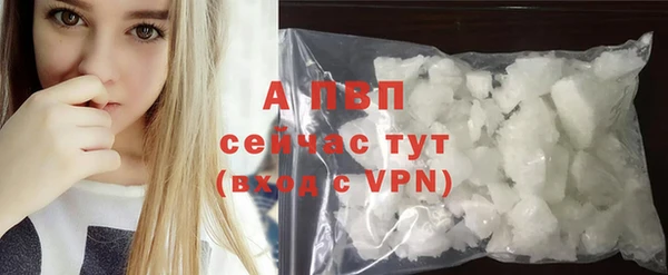 прущая мука Иннополис