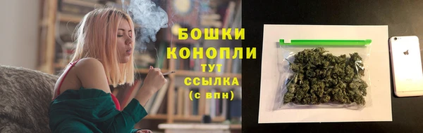 дурь Дмитриев