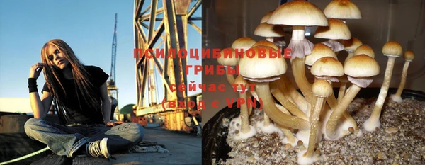 спиды Инта