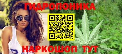 стаф Севастополь