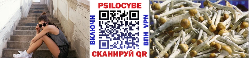 Псилоцибиновые грибы ЛСД купить наркотики сайты Новотроицк