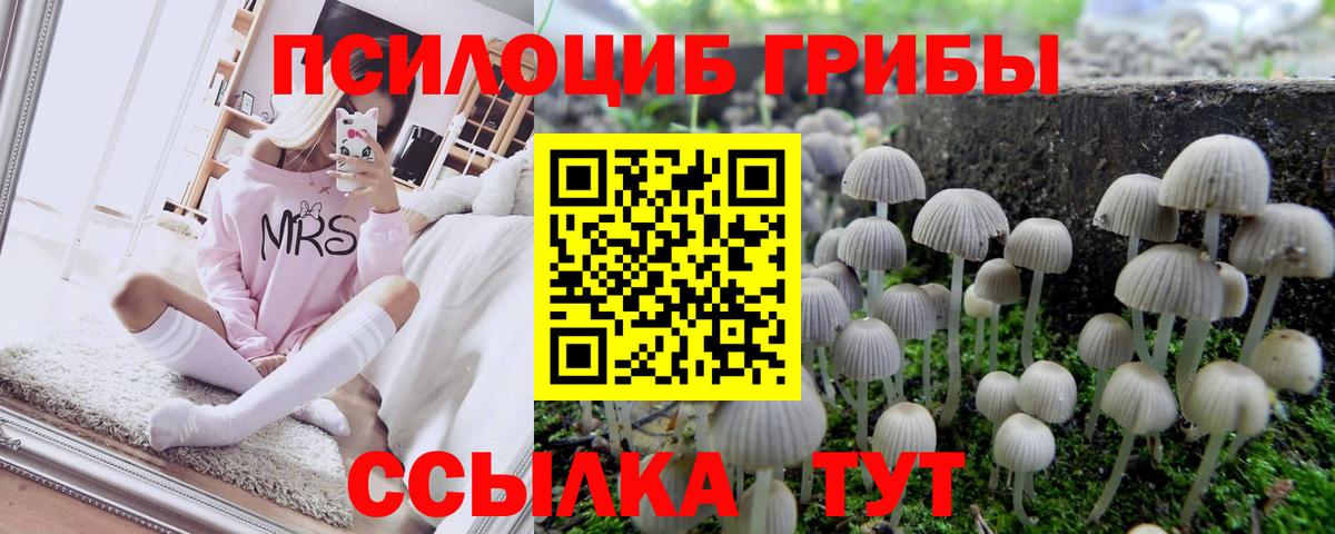 Псилоцибиновые грибы мухоморы  Галлюциногенные грибы ЛСД  Новотроицк  Вход с VPN 