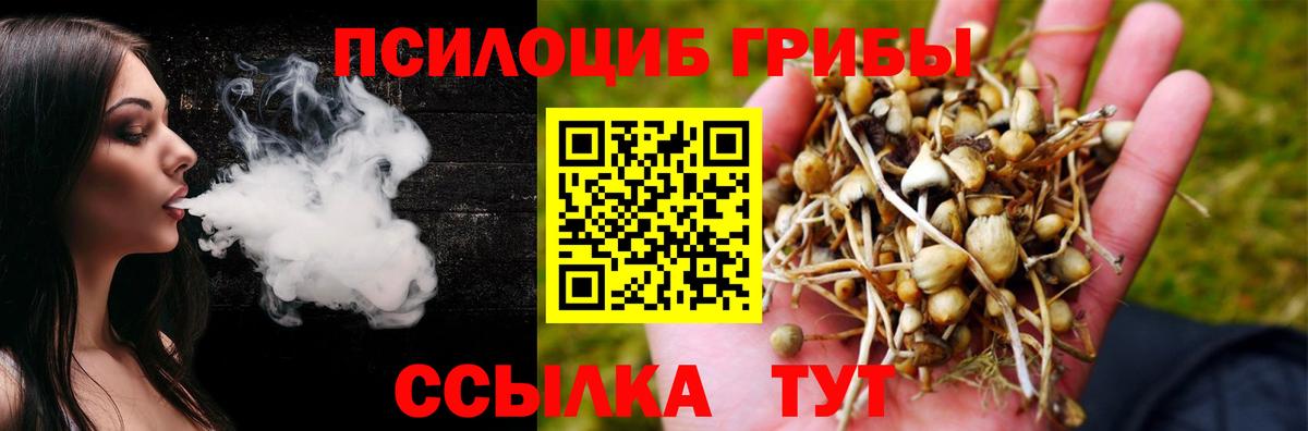Псилоцибиновые грибы прущие грибы Новотроицк